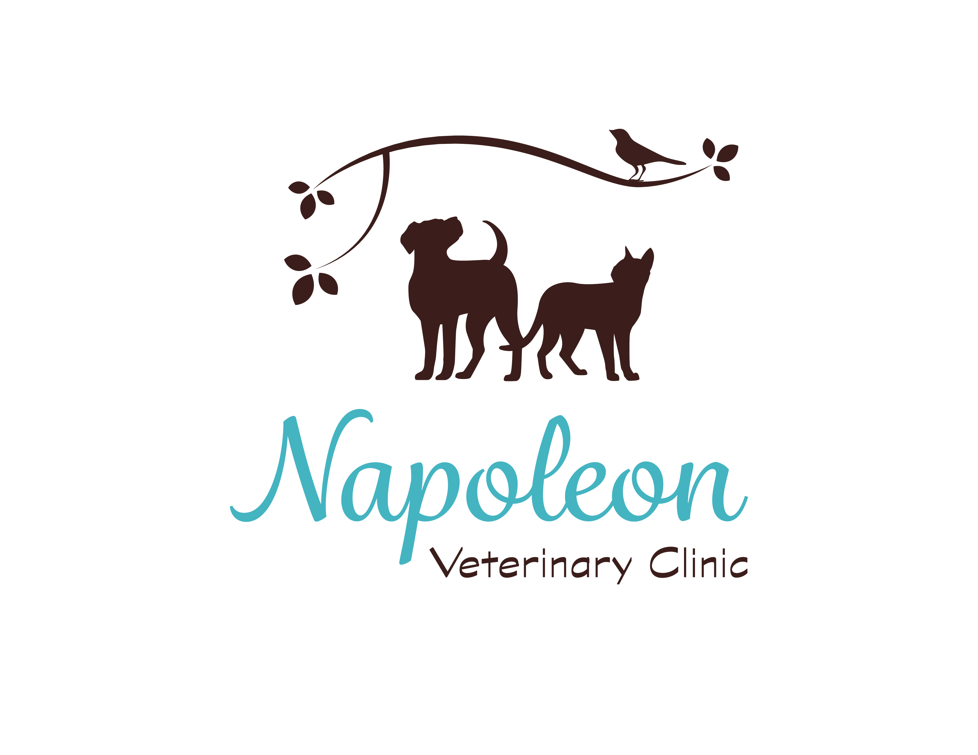 Napoleon Veterinary Clinic